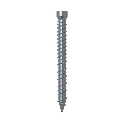 Afbeeldingen van Fischer kozijnschroef FFSZ 7.5x92, cilinderkop, Torx TX30 - 532910