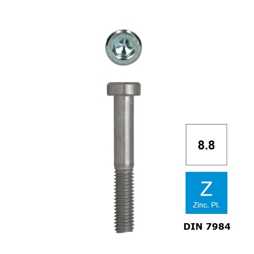 Afbeeldingen van Inbusbout met lage cilinderkop Din 7984 M10x40 verzinkt 8.8 (S7)