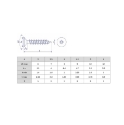 Afbeeldingen van Houtschroef Torx TX25 met volledige draad 5x80 geelverzinkt