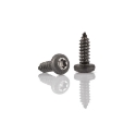Afbeeldingen van Plaatschroef met ronde kop Torx TX25 Din 7981C-T 5.5x25 zwart verzinkt