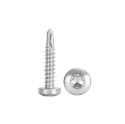 Afbeeldingen van Zelfborende plaatschroef met bolle kop Torx TX30 Din 7504N-T 6.3x25 verzinkt