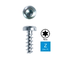 Afbeeldingen van Schroef voor kunststof met ronde kop Torx TX10 - 3x18 verzinkt