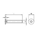 Afbeeldingen van Inbusbout met verzonken kop en volledige draad Din 7991 M6x50 inox A2-70 (S4)