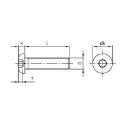 Afbeeldingen van Laagbolkopschroef met binnenzeskant ISO 7380-1 M10x60 inox A2-70 (S6)