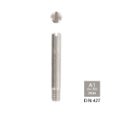 Afbeeldingen van Sleufkopschroef met afgeschuind uiteinde Din 427 M10x25 inox A1 - AISI 303