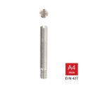 Afbeeldingen van Sleufkopschroef met afgeschuind uiteinde Din 427 M5x12 inox A4