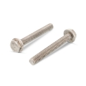 Afbeeldingen van Zeskantflensbout met volledige draad Din 6921 M10x50 inox A4-70 (SW15)