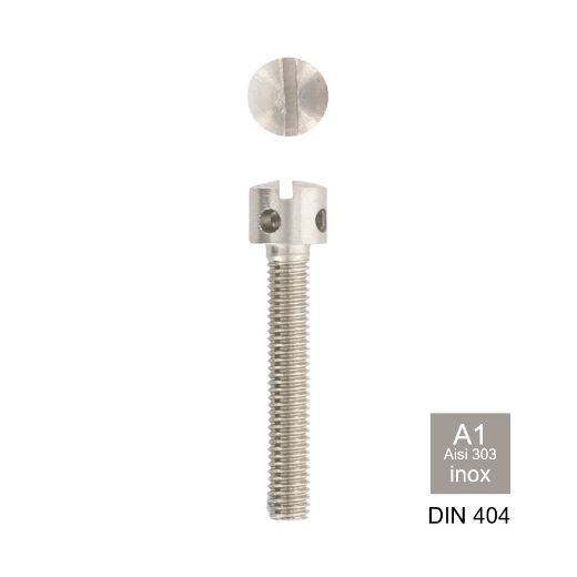 Afbeeldingen van Kruisgatschroef met zaagsleuf Din 404 M5x8 inox A1 - AISI 303