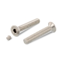 Afbeeldingen van Veiligheidsbout met inbusaandrijving met plug en verzonken kop M8x10 inox A2