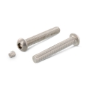 Afbeeldingen van Veiligheidsbout met inbusaandrijving met plug en bolle kop M6x25 inox A2