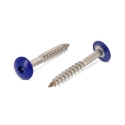 Afbeeldingen van Trespaschroef Torx TX20 gelakt Ral 5002 (Marineblauw) 4.8x60 inox A2