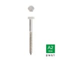 Afbeeldingen van Houtdraadbout Din 571 6x60 inox A2 (SW10)