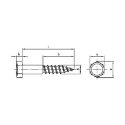 Afbeeldingen van Houtdraadbout Din 571 8x100 inox A2 (SW13)