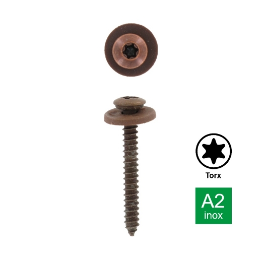 Afbeeldingen van Plaatschroef voor vensterbank met bolle kop en nylon ring Torx TX15 Bruin 3.9x16 inox A2
