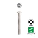 Afbeeldingen van Laagbolkopschroef met binnenzeskant ISO 7380-1 M10x60 inox A2-70 (S6)