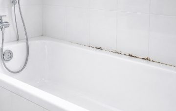 Schimmel in kitnaden voorkomen
