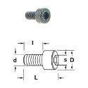 Afbeeldingen van CMT Inbusbout met ronde kop M4x6 - 990.052.00