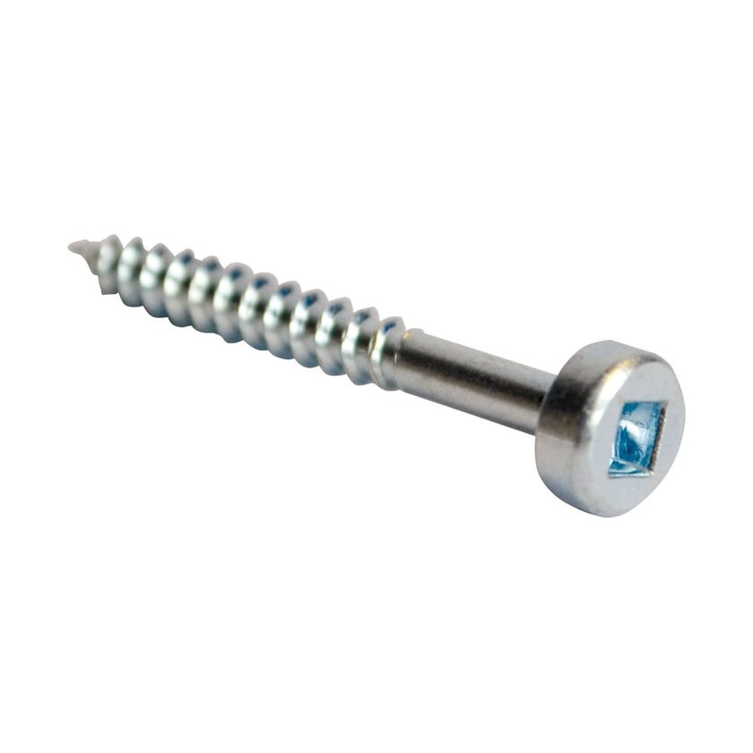 Afbeeldingen van CMT Schroeven 31,7 mm - 990.101X500