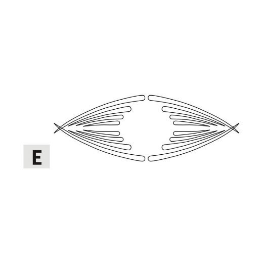 Afbeeldingen van CMT Roma lade - E - RCS-507