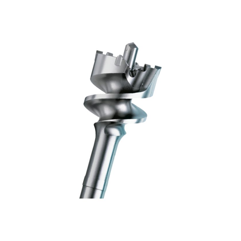 Afbeeldingen van Rotec frees, betonkroon, SDS-max, 40x80/550mm - 205.4002