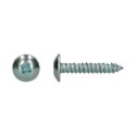 Afbeeldingen van PGB-Fasteners plaatschroef Pozidrive PZ2 met volledige draad 4.8x16 verzinkt