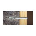 Afbeeldingen van PGB-Fasteners nagelplug Pozidrive PZ2 6x80 nylon
