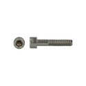 Afbeeldingen van PGB-Fasteners BZK.schroef CK GD ISO4762 M10x50 A4/4st