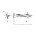 Afbeeldingen van PGB-Fasteners plaatschroef Torx TX15 met volledige draad Din 7982 3.9x19 verzinkt