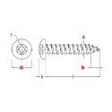 Afbeeldingen van PGB-Fasteners plaatschroef Torx TX25 met volledige draad Din 7981 4.8x38 verzinkt