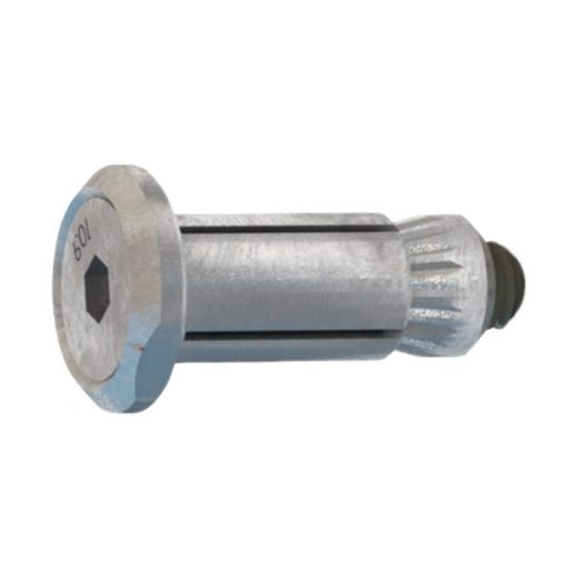 Afbeeldingen van PGB-Fasteners hollo-bolt M8x50 staal