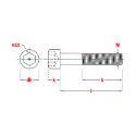 Afbeeldingen van PGB-Fasteners BZK.schroef CK GD ISO4762 M10x50 A4/4st