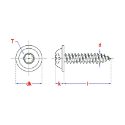 Afbeeldingen van PGB-Fasteners plaatschroef Torx TX20 met volledige draad Din 968 3.9x19