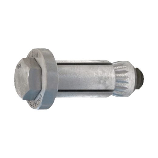 Afbeeldingen van PGB-Fasteners hollo-bolt M12x60 inox A4 (SW30)