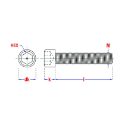 Afbeeldingen van PGB-Fasteners BZK.schroef CK VD ISO4762 M8x20 A4/6st