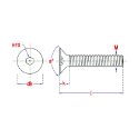 Afbeeldingen van PGB-Fasteners BZK.schroef VZK DIN 7991 M8x30 Zn/7st