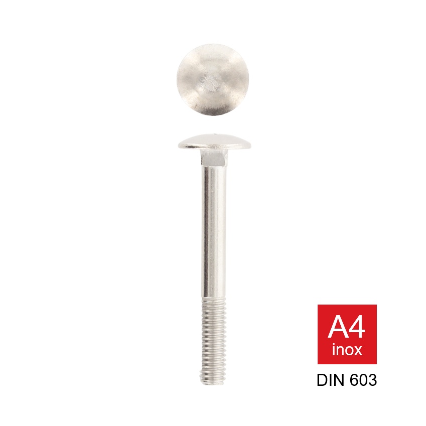 Houtbout met deeldraad Din 603 inox A4