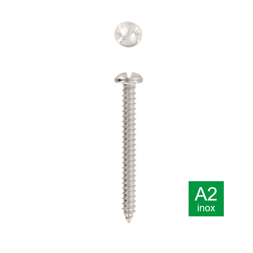 Veiligheidsplaatschroef met eenrichting aandrijving en lenskop inox A2