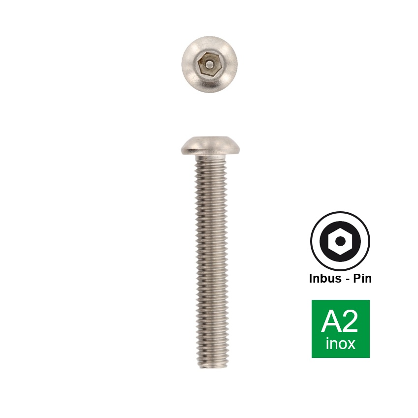 Antidiefstalbout met inbusaandrijving met pin en bolle kop inox A2