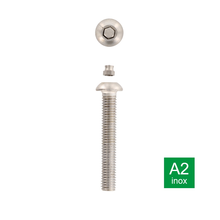 Veiligheidsbout met inbusaandrijving met plug en bolle kop inox A2
