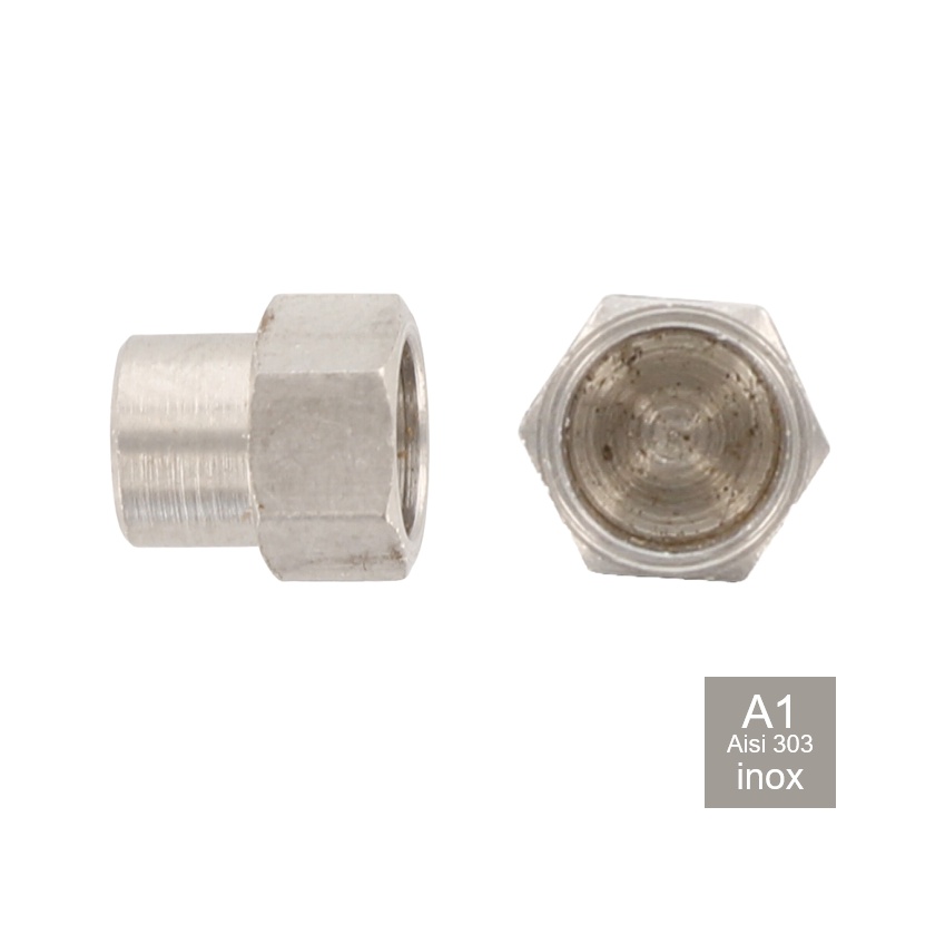 Veiligheidsplug voor inbusbout inox A1 - AISI 303
