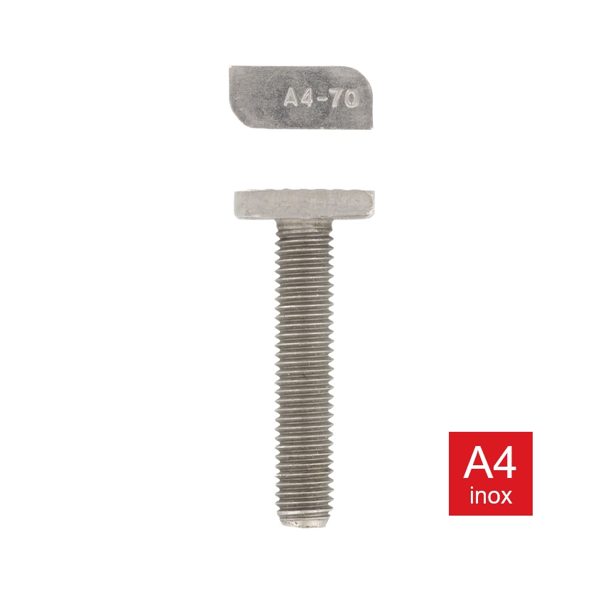 Hamerkopbout standaard inox A4